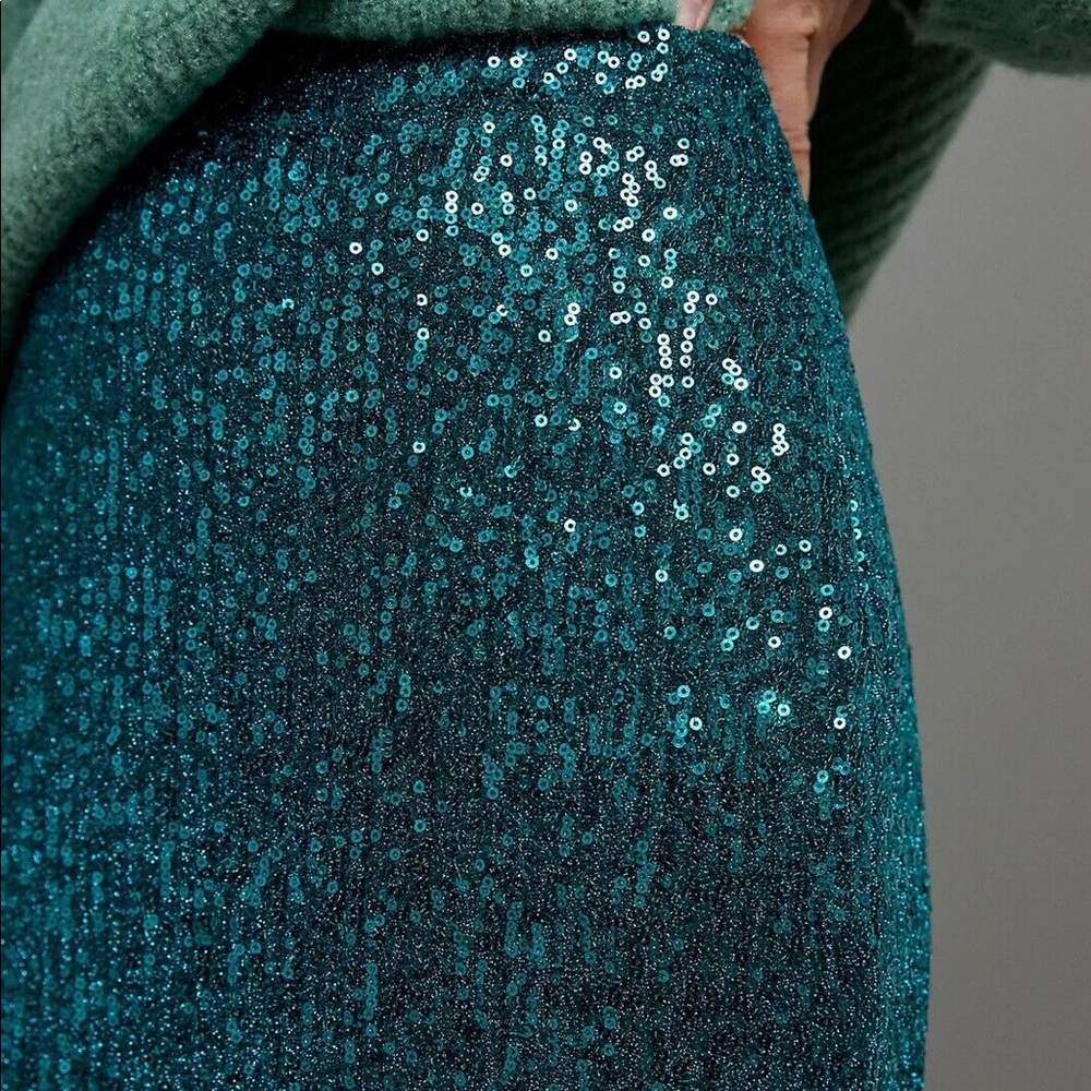 Anthropologie Sequin (holiday) Midi Skirt